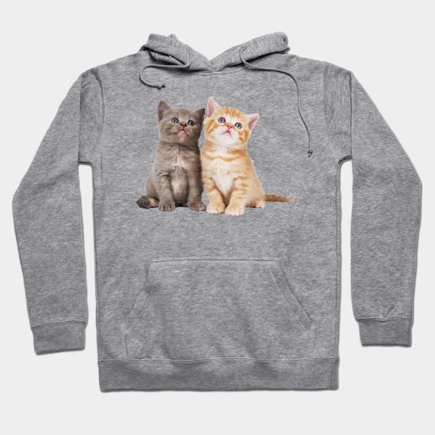 Cute Kittens Hoodie by MysticTimeline